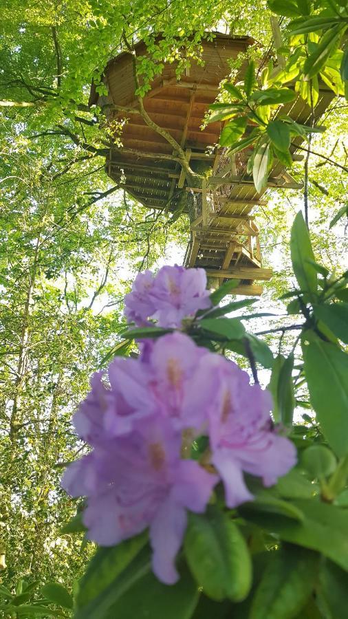 Le Domaine De Wail - Legends Resort Δωμάτιο φωτογραφία